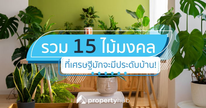 รวม 15 ไม้มงคล ที่เศรษฐีมักจะมีประดับบ้าน!