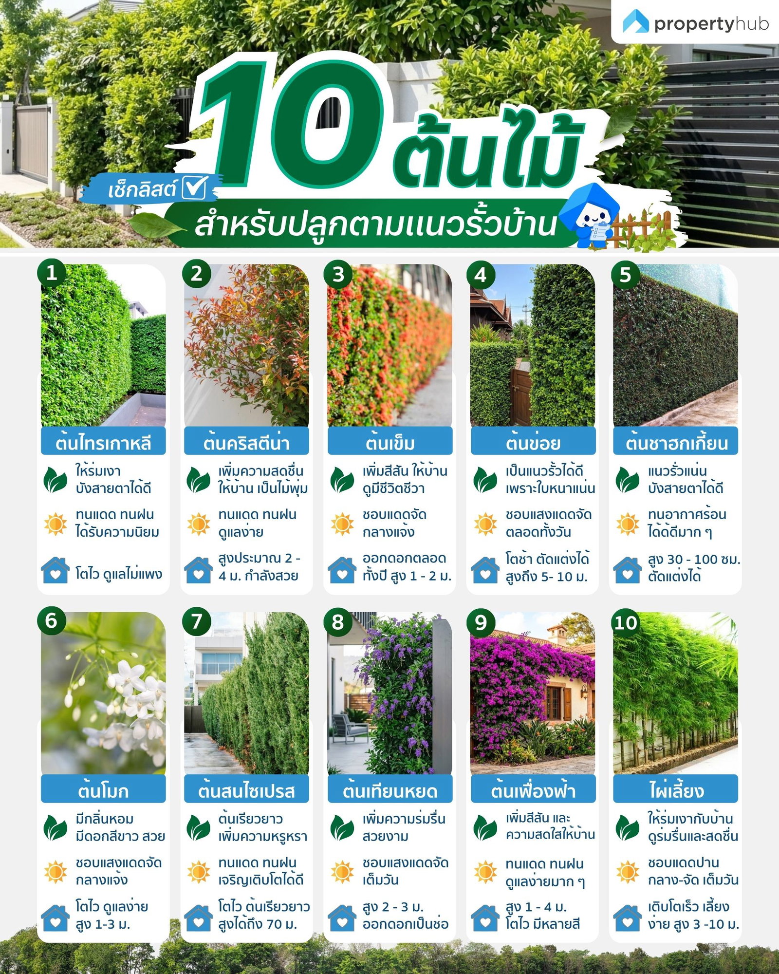 IG PH เช็คลิสต์ 10 ต้นไม้สำหรับปลูกตามแนวรั้วบ้าน.jpg