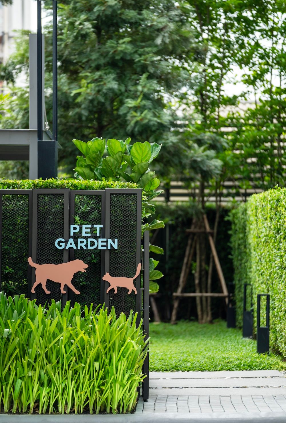 Pet Space คอนโด Chewathai Hallmark ลาดพร้าว - โชคชัย 4 (เฟส 2).jpg