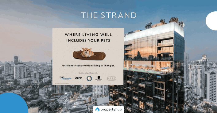 The Strand Thonglor คอนโดลักชัวรีพร้อมอยู่ Pet Friendly สำหรับครอบครัวยุคใหม่
