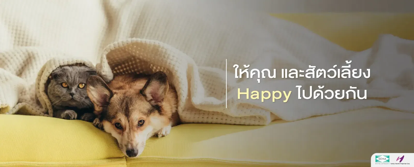 ข้อมูลโครงการคอนโด 2 Cozi Taksin-Jomthong (โคซี่ ตากสิน - จอมทอง).JPG