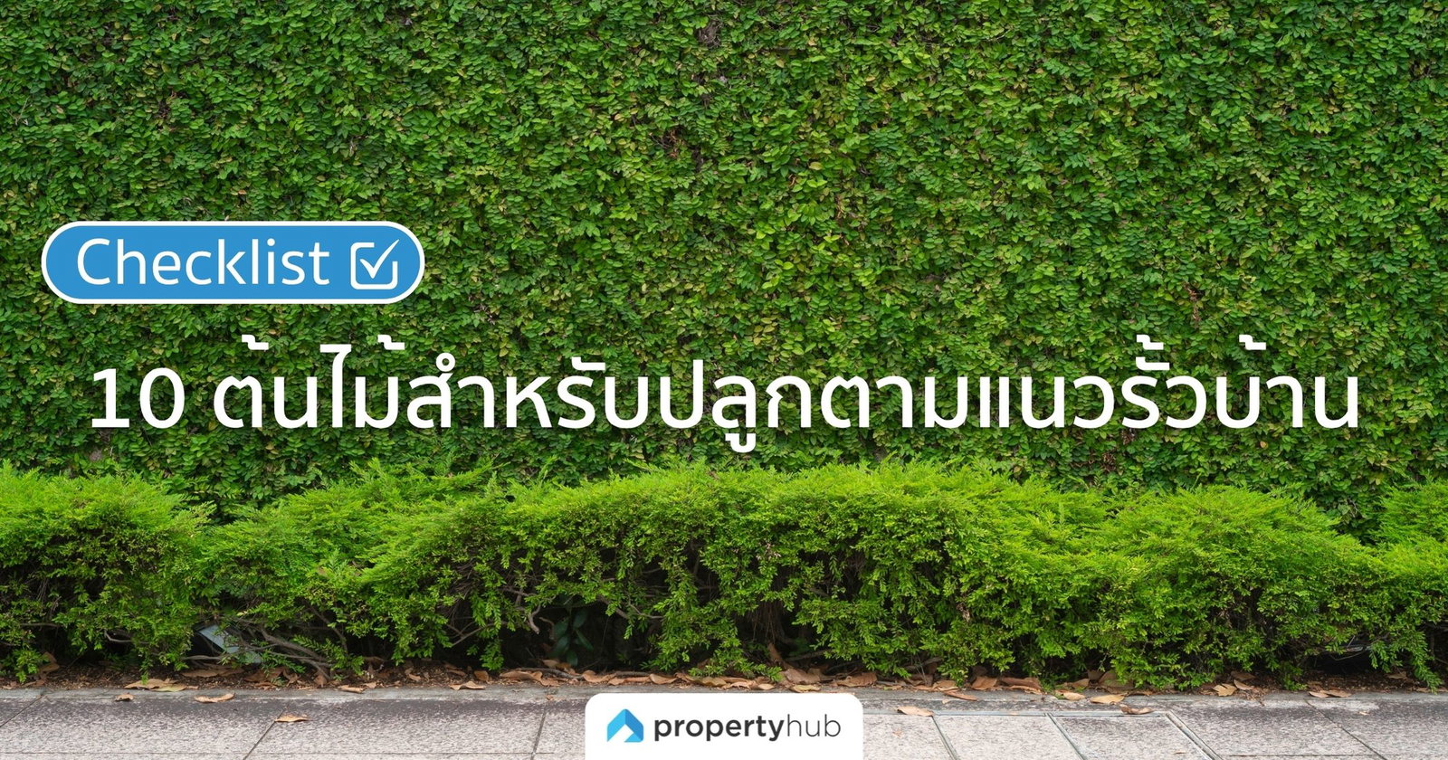 เช็คลิสต์ 10 ต้นไม้สำหรับปลูกตามแนวรั้วบ้าน