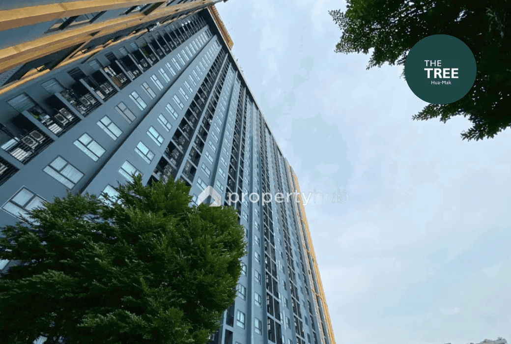 เดอะ ทรี (The Tree)