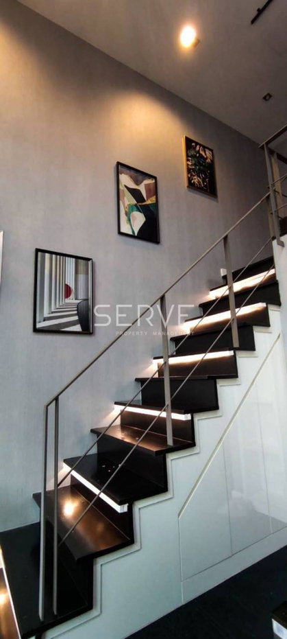 รูป Pet friendly condo for rent 1-bedroom Duplex 1 Bed 1 Bath  unit at Ideo Morph 38 -Ideo Morph 38 (ไอดีโอ มอร์ฟ 38) - รูปที่ 7/14