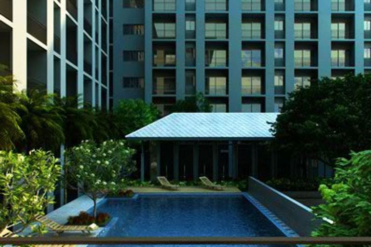 The Seed Memories Siam
