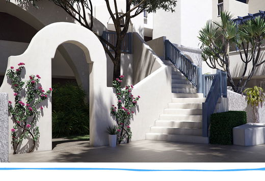 รูป Chelona Khao Tao - รูปที่ 3/9