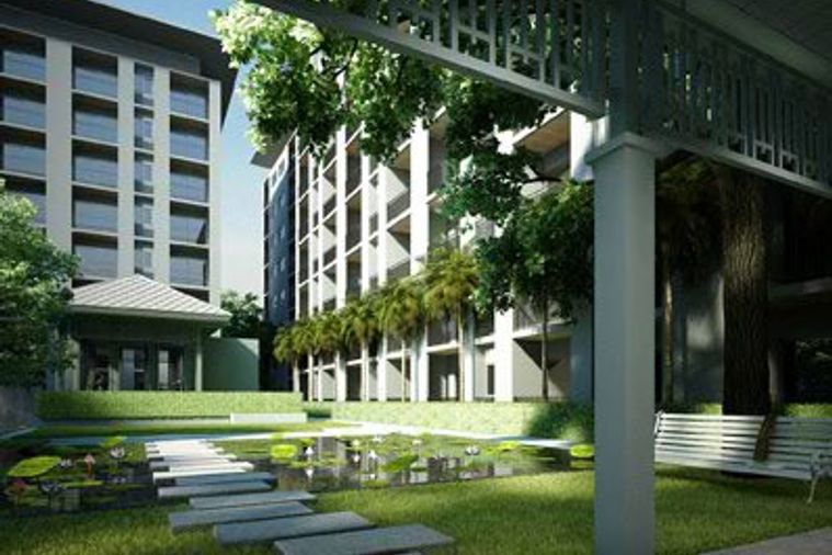 The Seed Memories Siam