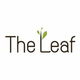 project-the-leaf-image-alt