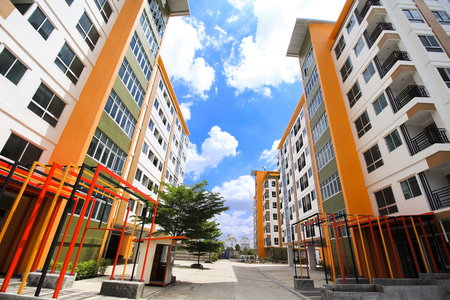 เดอะ เน็กซ์ ลีฟวิ่ง