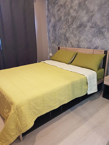 picture Aspire Sathorn-Taksin for rent - 16/16