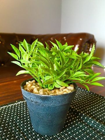 รูป ให้เช่าคอนโดลุมพินี พาร์ค เพชรเกษม 98 (LPN Park Phetkasem 98) เฟอร์ครบ + พร้อมอยู่ - รูปที่ 9/9