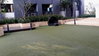 listing thumbnail image 21