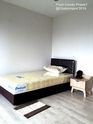 Condos for rent : G 2787💙 中国客户，请加微信。(在联系方式的旁边) For rent Plum Condo Central Station Line❤️💜@condopremium💜❤️