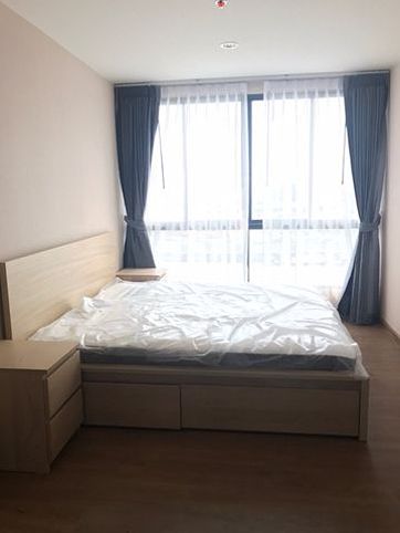 picture  For rent THE TREE INTERCHANGE Ready to move in  - 1/8