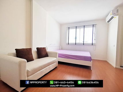 รูปภาพ For Rent Lumpini Condo Town Chonburi-Sukhumvit - 1 bed 21 sq.m.  7th floor