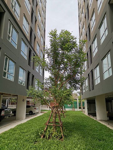 picture Brand new condo for rent regent home Sukhumvit 97/1 near bts Bangchak - 9/13