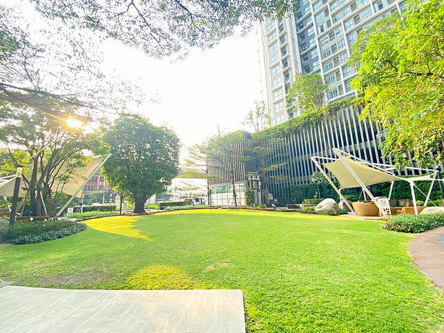 picture For Rent Condo Ideo Mobi Sukhumvit 81, building B, Fl. 22th, Studio type 22 sq.m near BTS Onnut  - 12/24