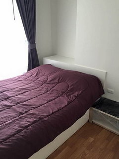 รูปภาพ G 4757🚨 中国客户，请加微信。(在联系方式的旁边) For rent THE TRUST CONDO NGAMWONGWAN Line❤️💜@condopremium💜❤️