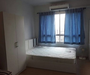 รูปภาพ G 4869🚨 中国客户，请加微信。(在联系方式的旁边) For rent Plum Condo Samakkhi Line❤️💜@condopremium💜❤️