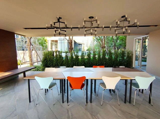 picture For rent : Plum Condo Rangsit Alive ready to move in !!  - 10/13