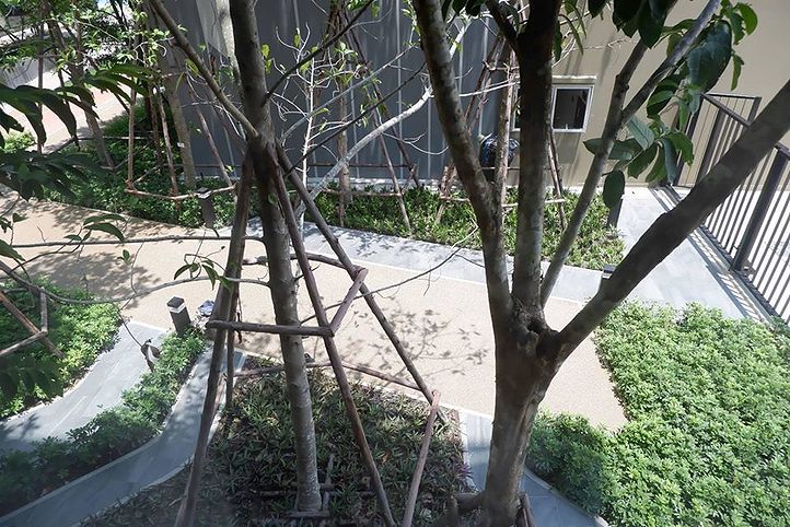 รูป P2005 ให้เช่า คอนโด Plum Rangsit Alive 2 พร้อมอยู่ - รูปที่ 8/8