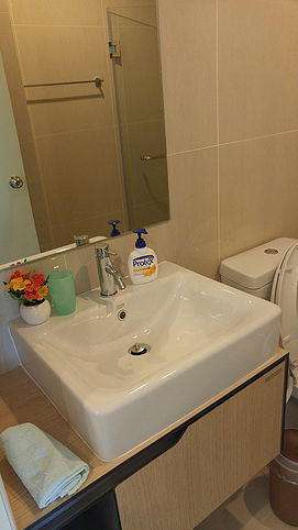 picture Condo for rent  (THE MALL BANGKHAE) - The Parkland  (Phetkasem) - 30 M/Fully Furnished - 6/10