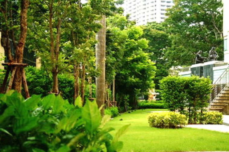 Hampton Thonglor 10