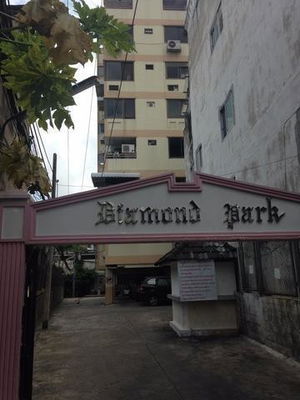 Project Diamond Park Picture - 1/1