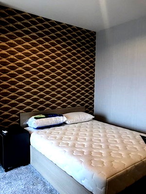 Condos for rent : Ideo Sukhumvit 115 CONDO FOR RENT 10000 BAHT PER MONTH