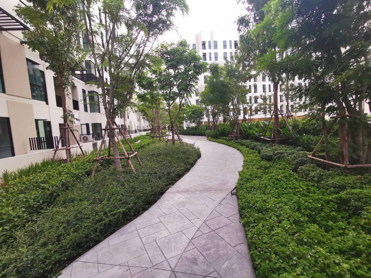 picture For Rent Unio Sukhumvit 72 - 22 sq.m.  2nd floor  - 13/16