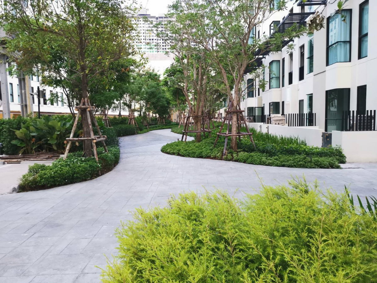 picture For Rent Unio Sukhumvit 72 - 22 sq.m.  2nd floor  - 10/16