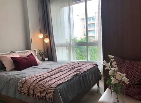 🌈✨Rent Happy Condo Ladprao 101✨🌈🦮🐈🐶🐱