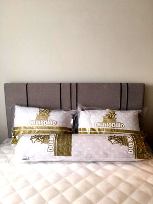 Condos for rent : R E N T C O N D O Niche Mono Sukhumvit Bearings