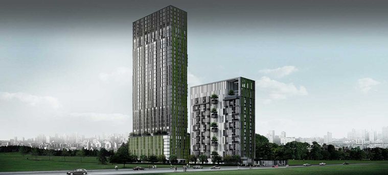 แอชตัน มอร์ฟ 38