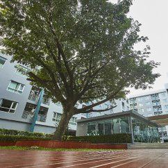 รูป Aspire Udon Thani - รูปที่ 4/4