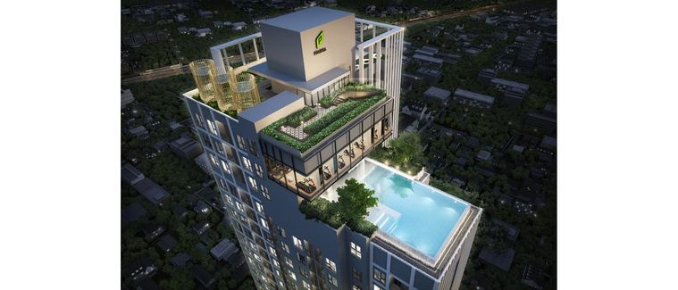 The Privacy Taopoon Interchange