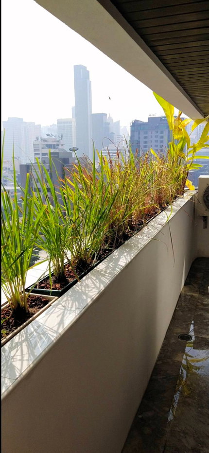 รูป ให้เช่าคอนโด Beverly Tower Condo ซอย สุขุมวิท 11 ใกล้ BTS นานา - รูปที่ 6/17
