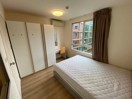 รูปภาพ For rent U Campus Rangsit-Muangake