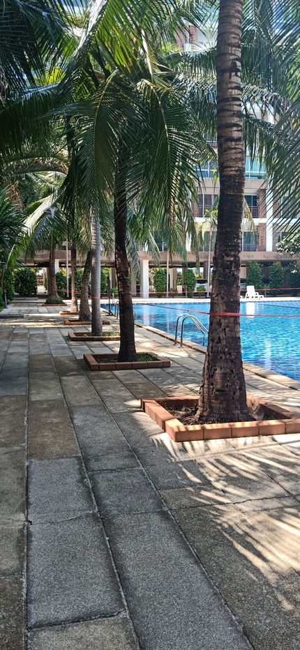 picture Ad Condo For rent stodio 25 1bed 1bath - 9/10