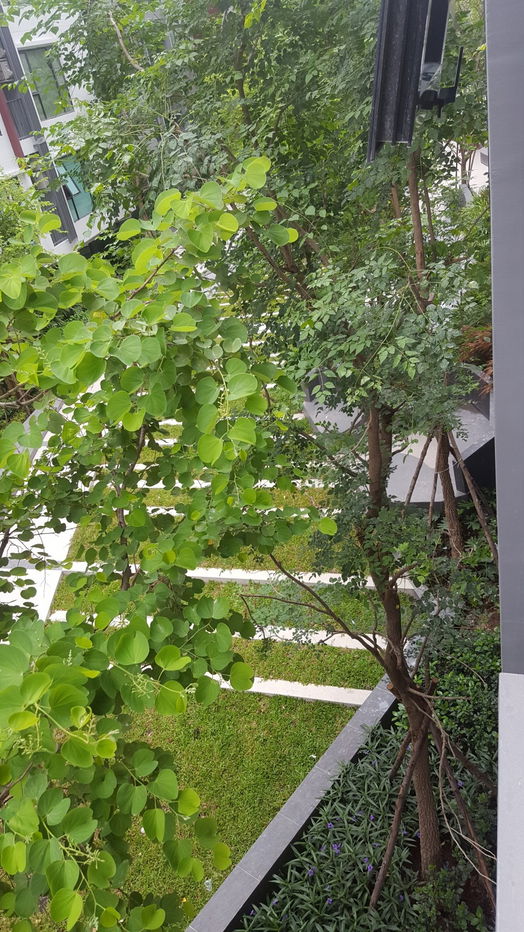 รูป 🍀🍀🍀 ให้เช่า คอนโด ดิ ออริจิ้น รามอินทรา 83 ชั้น 3 ขนาด 27 ตร.ม. ตกแต่งครบ พร้อมเครื่องซักผ้า - รูปที่ 9/9