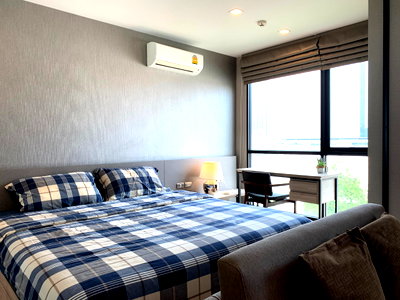 Condos for rent : 🌸🌸🌸 SR147 Special Deal!! For rent Condo Tree condo sukhumvit 50
