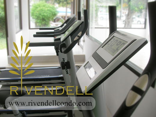 รูป Rivendell Legacy - รูปที่ 3/4