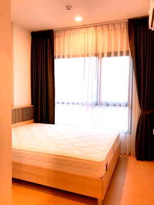 Condos for rent : T1033 Condo for rent The Tree Sukhumvit 71 - Ekkamai, Beautiful room, fully furnished, washing machine, special price