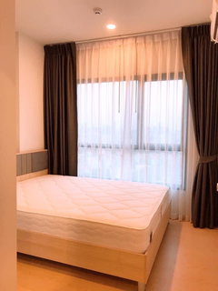 รูปภาพ T1033 คอนโดให้เช่า The Tree Sukhumvit 71 - Ekkamai (เดอะ ทรี สุขุมวิท 71-เอกมัย) ห้องสวย เฟอร์ครบ มีเครื่องซักผ้า ราคาพิเศษ