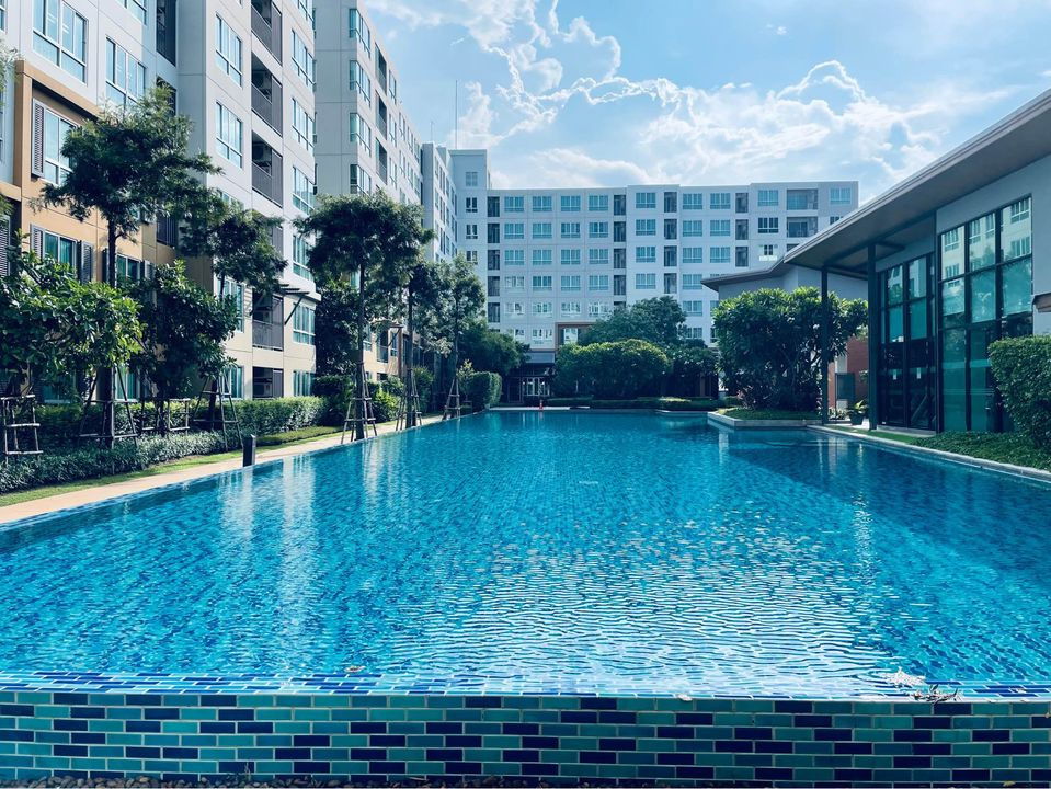 รูป ให้เช่าดีคอนโดนิม ห้องใหญ่วิวสระว่ายน้ำใกล้ซ็นทรัลเฟสติวัล  - รูปที่ 2/13