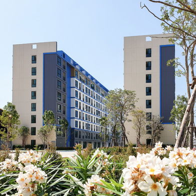 รูป Wynn Thani - รูปที่ 3/5