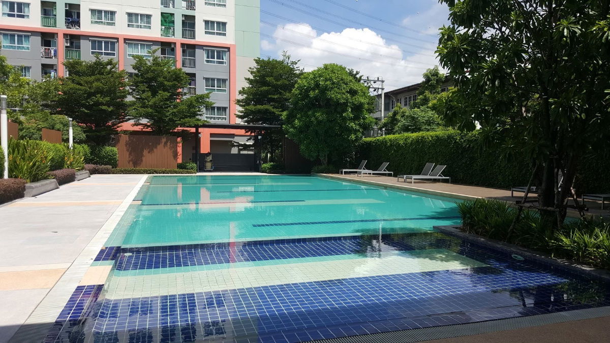 รูป ให้เช่าคอนโด ลุมพินีวิลล์ ประชาชื่น-พงษ์เพชร2 ใกล้เดอะมอลล์ งามวงศ์วาน ทำเลดี ห้องสวย พร้อมเข้าอยู่ 30 ตร.ม. 8,000฿/เดือน - รูปที่ 11/11