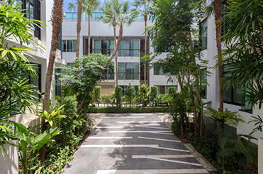 รูป Kamala Regent - รูปที่ 3/14