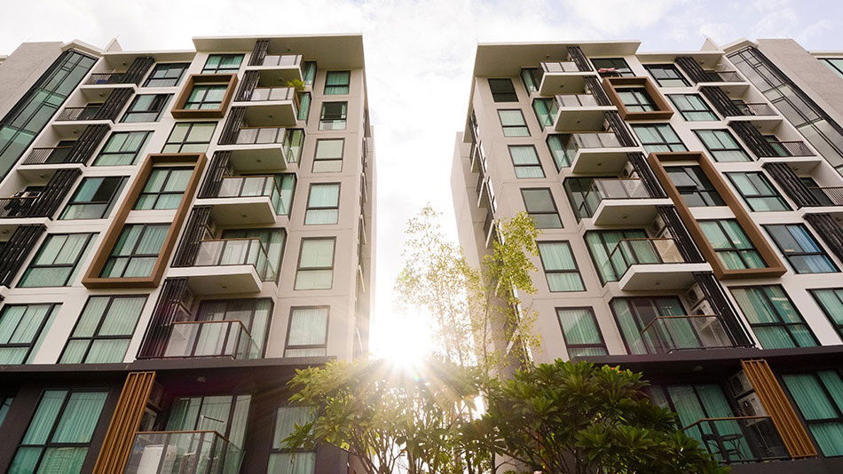 รูป Zelle Rattanathibet - รูปที่ 1/6