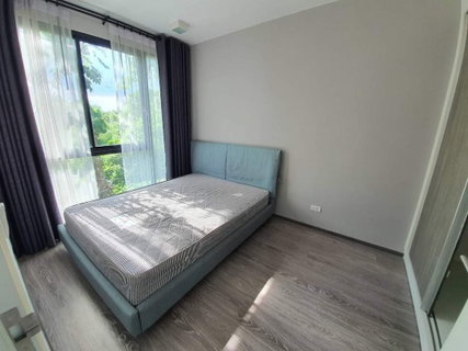 รูปภาพ For Rent Zelle Rattanathibet - 1 bed 30 sq.m. 6th floor